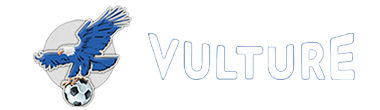 اشتراك فولتشر- Vulture SA